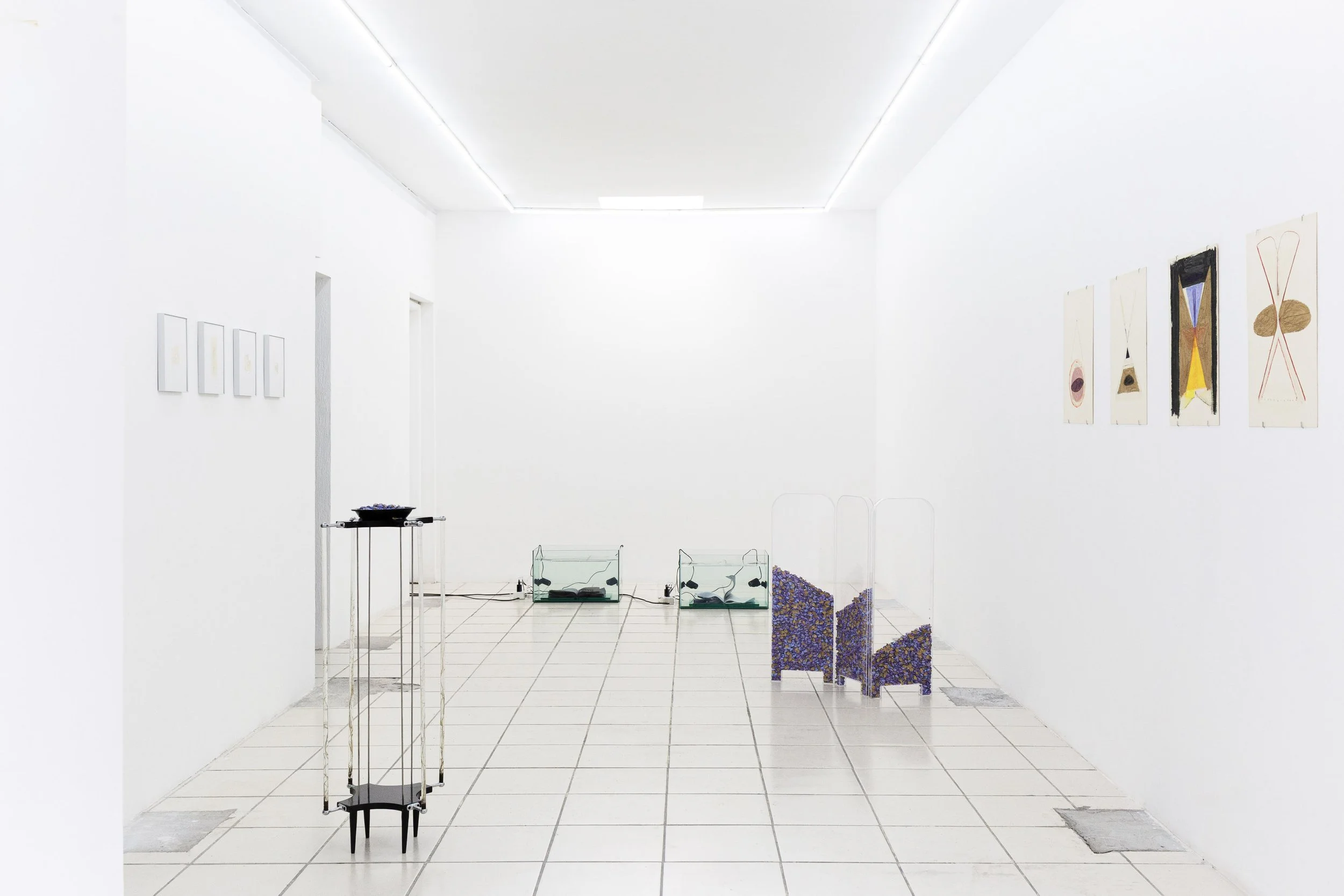   En Flujo (In Flux)  on view June 06 – July 18, 2026 at Third Born, Mexico City 