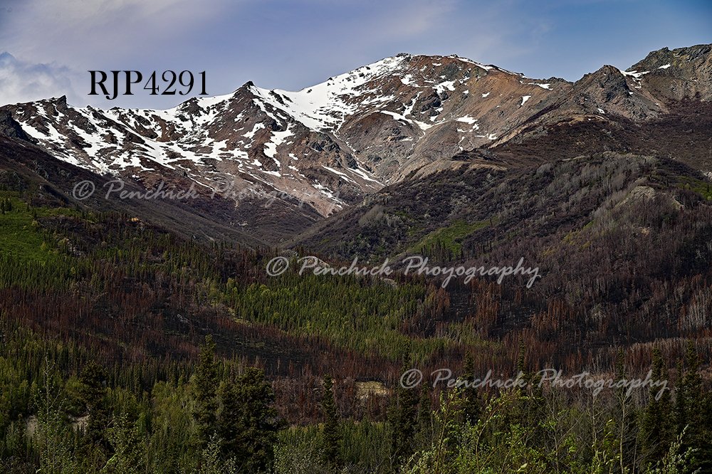 Scenic Alaska 6-2025 Wall Art Available for Purchase Contact: penchickphoto@gmail.com