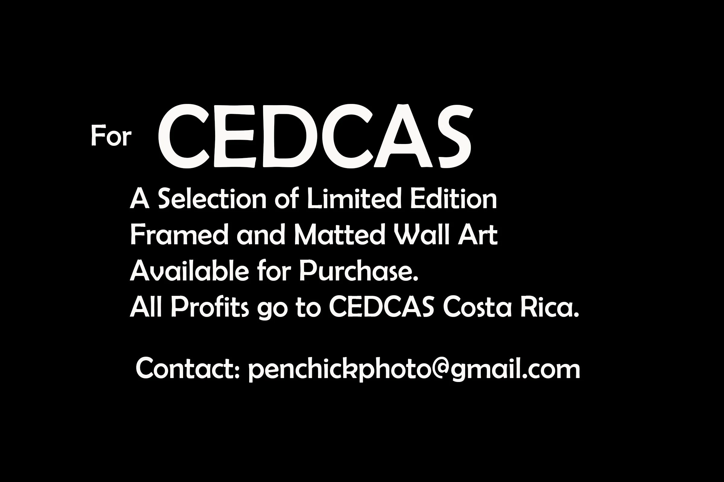 For CEDCAS.jpg