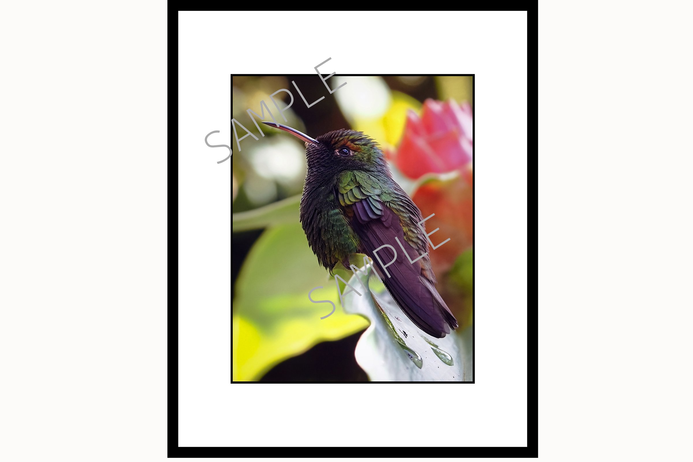RJP21265Rframed SAMPLE.jpg