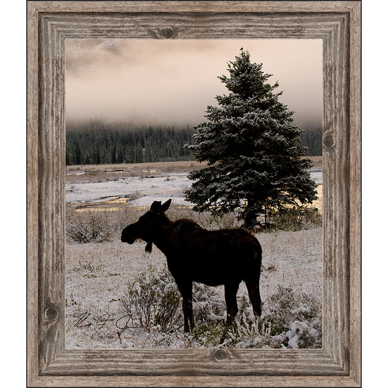 LamarMoose with Frame.jpg