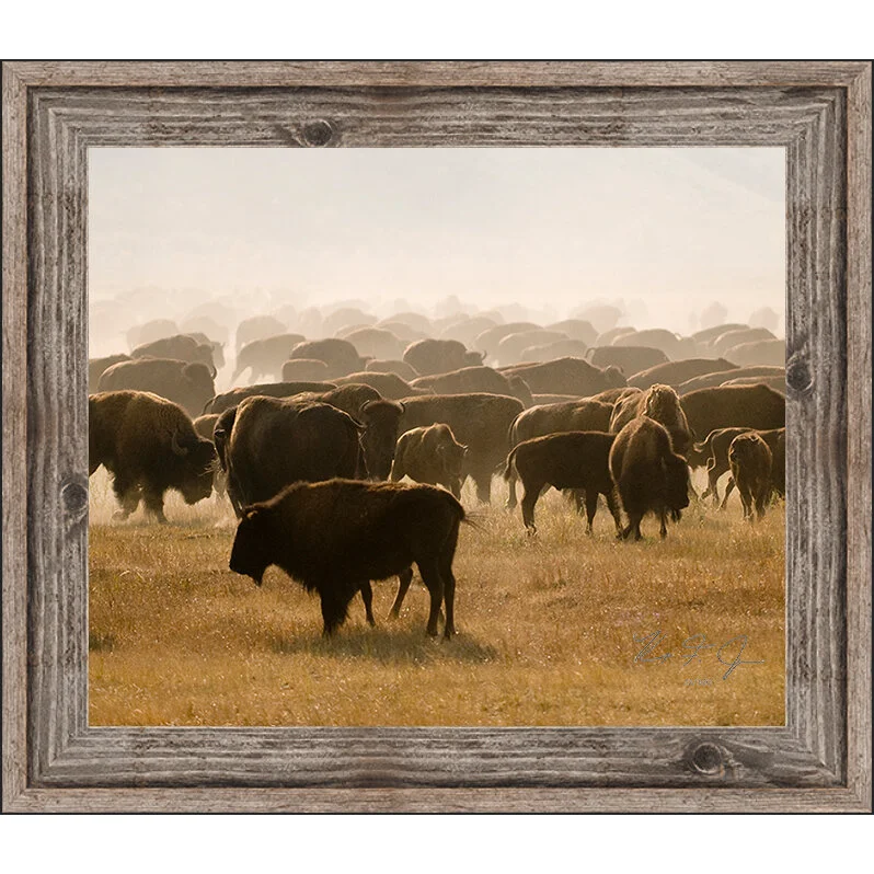 bisonherd with frame.jpg