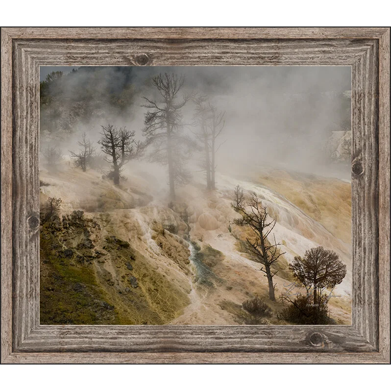 mammoth with frame.jpg