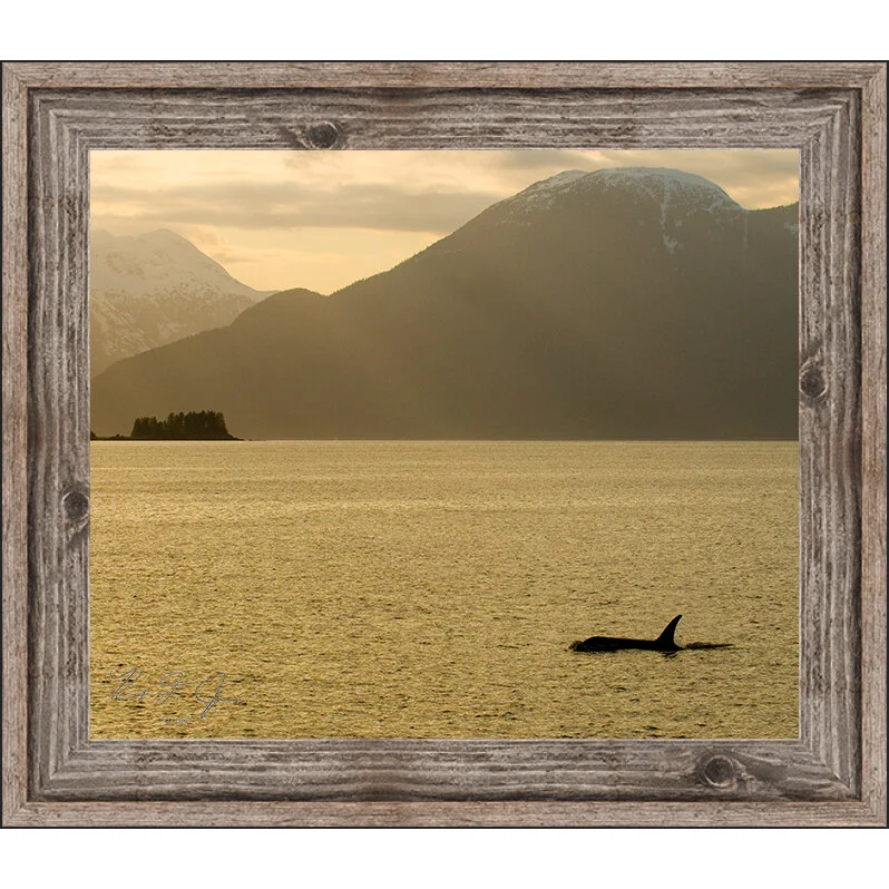 killersunset with frame.jpg