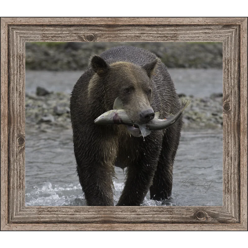 katmaibear with fish with frame.jpg