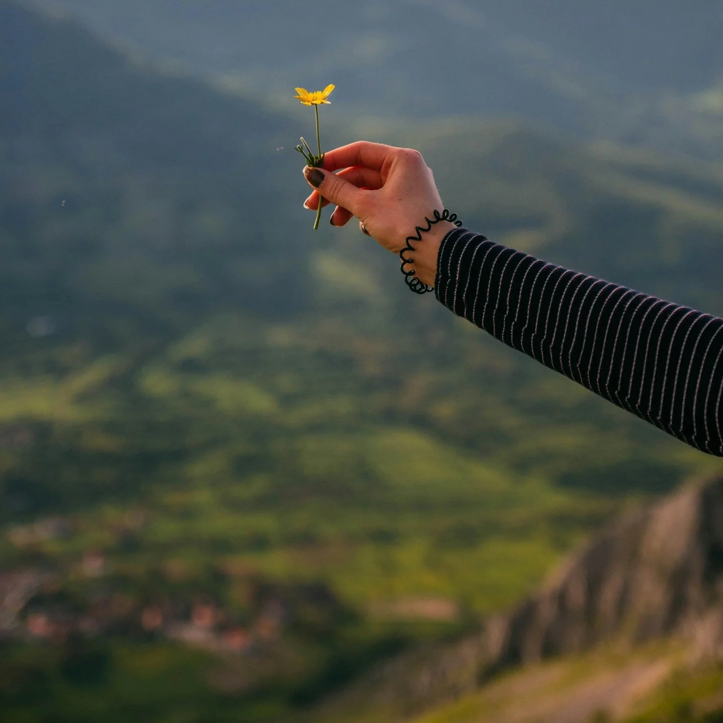 FORGIVENESS: There is no greater gift you could give to yourself than the peace that comes with choosing forgiveness. Forgiveness protects us from the exploitation of the enemy that sprouts up from the poison of a bitter root. Forgiveness also paves 