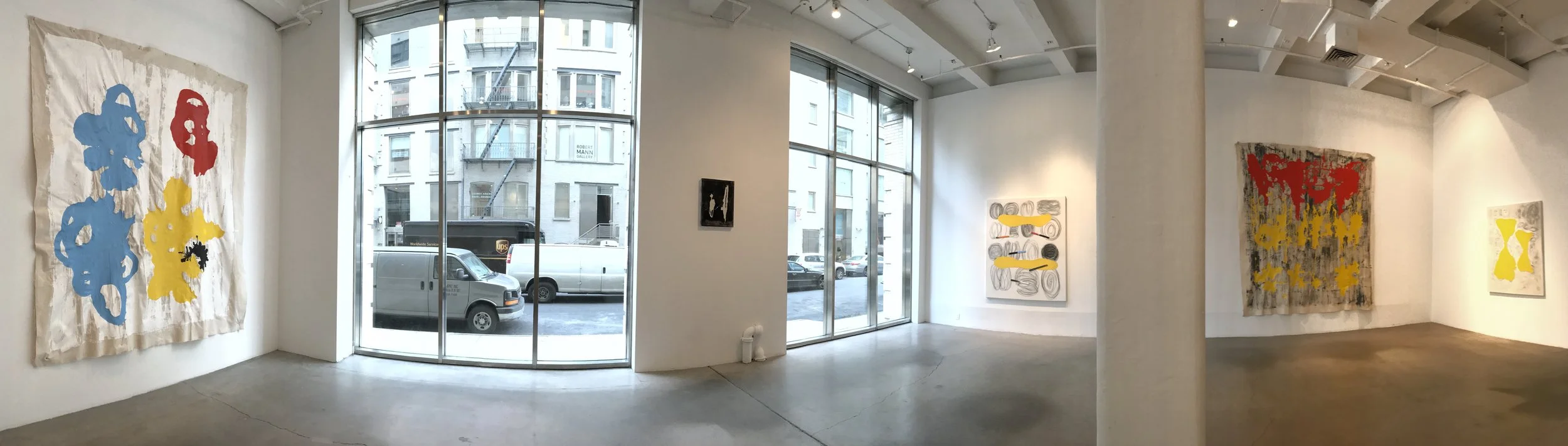 Solo at 524 West 26th Street NYC 2017