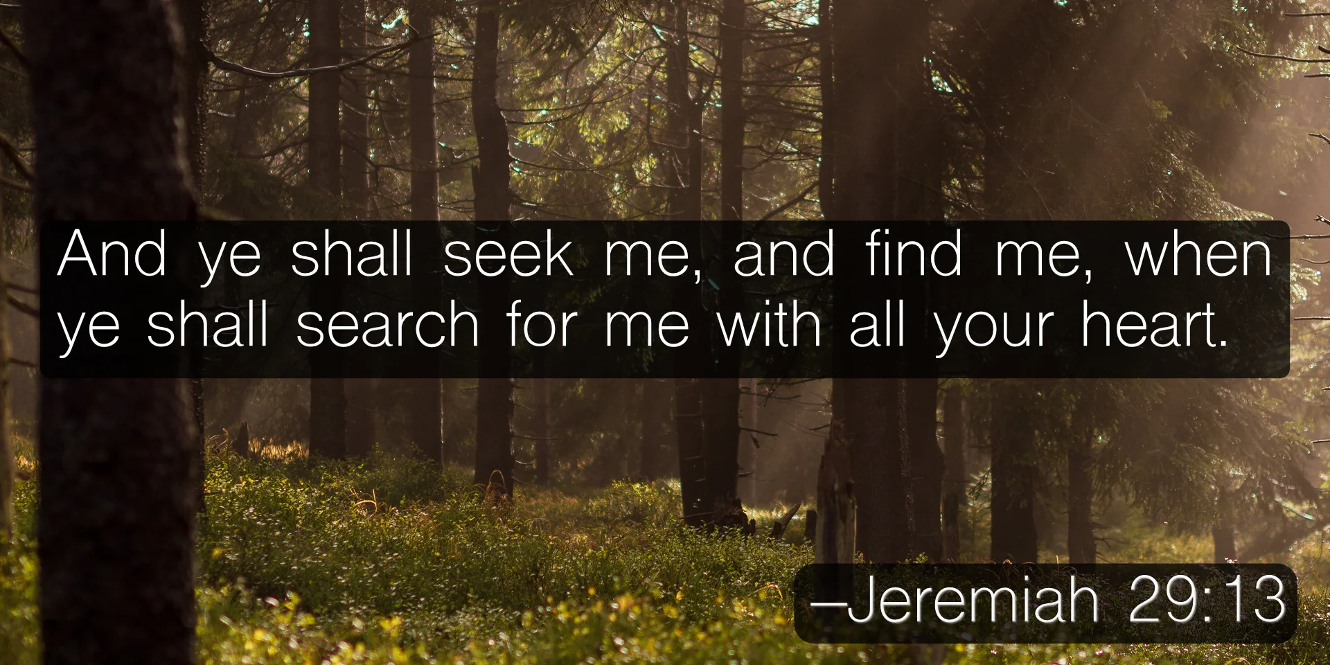 And ye shall seek me, and find me, when ye shall search for me with all your heart. –Jeremiah 29:13