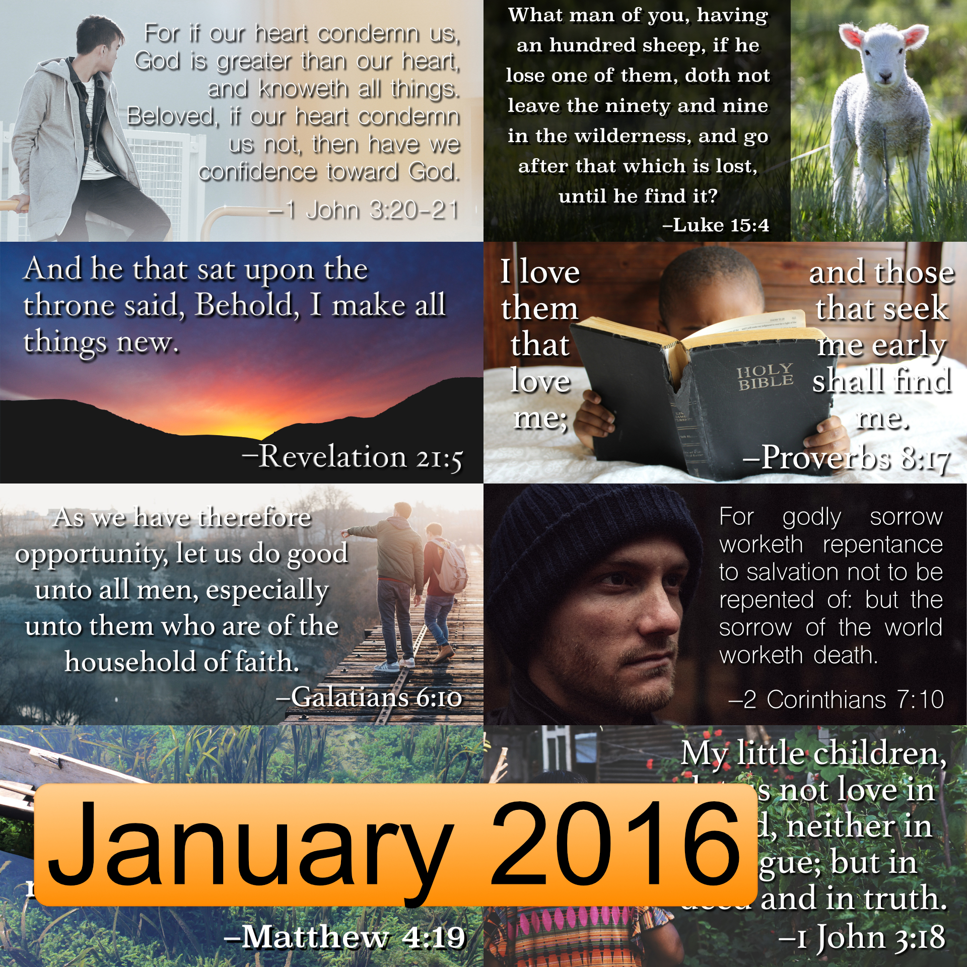 January 2016 Image Pack