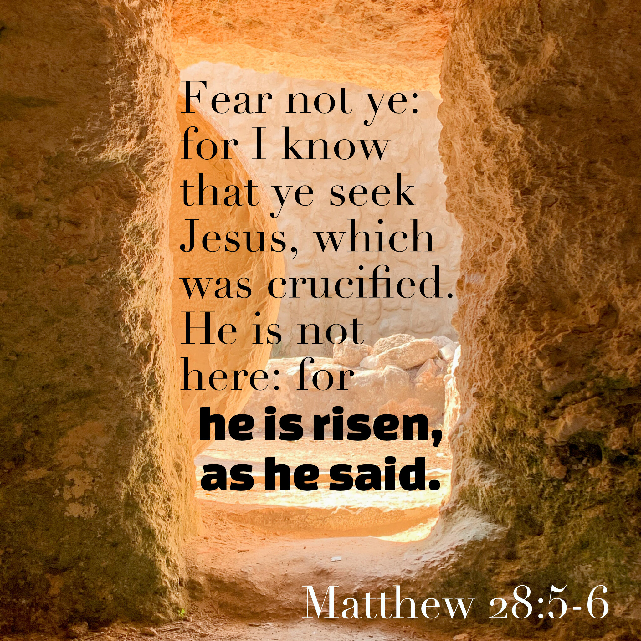 Verse Of The Day Berea Project verse-of-the-day-berea-project