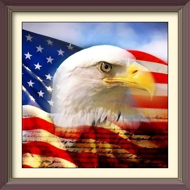 Bald Eagle.jpg
