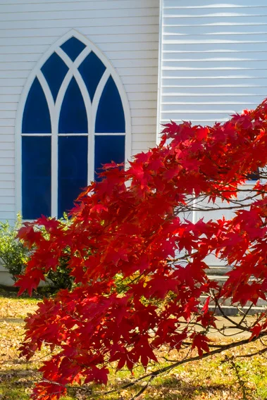 IPC in Fall, photo by Jim Cassatt