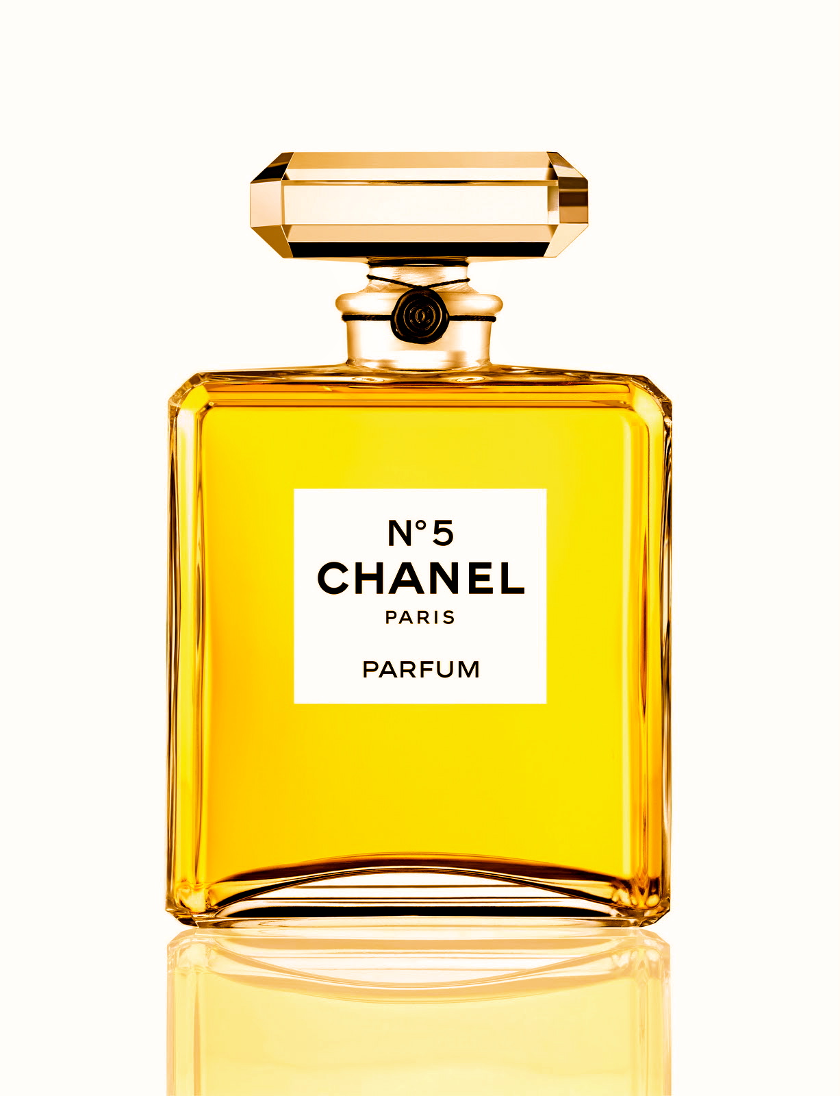 Giselle named new face of Chanel No. 5!, Gregory Dylan Beauty