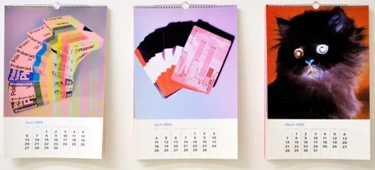 Eileen Maxson Clearance, 1993 , 2010 Inkjet print calendars 13 x 19 in $365 each
