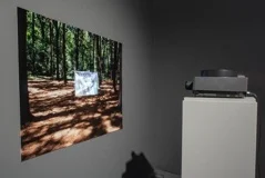 A Clearing InThe Woods, 1969/2012