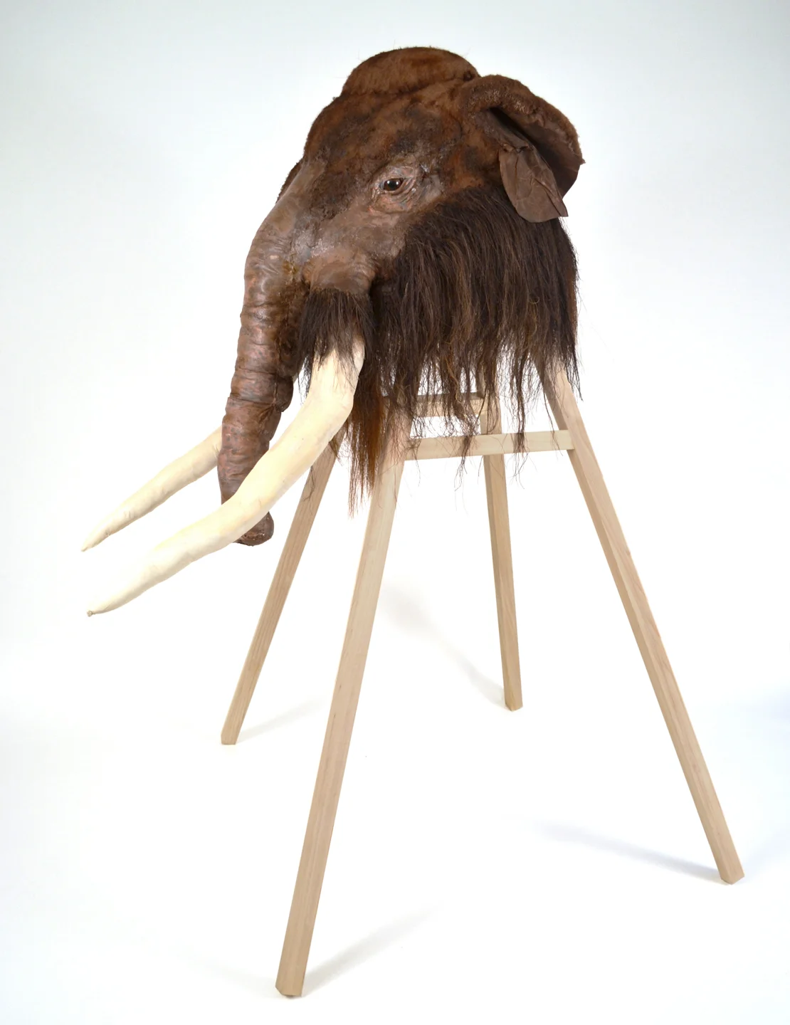 Mammuthus primigenius, Pleistocene Era Woolly Mammoth , 2014, Wood, fabric, acrylic, horsehair, and other materials, 64 x 50 x 43”