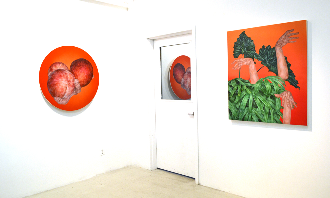 Sliding Doors, Installation view