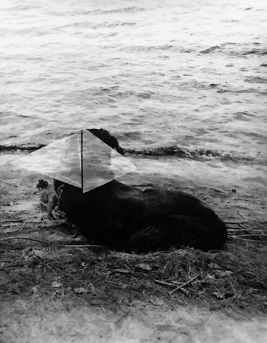 Tamsen Wojtanowski, Easy Wild , Silver Gelatin Print, 2017, 11" x 14"