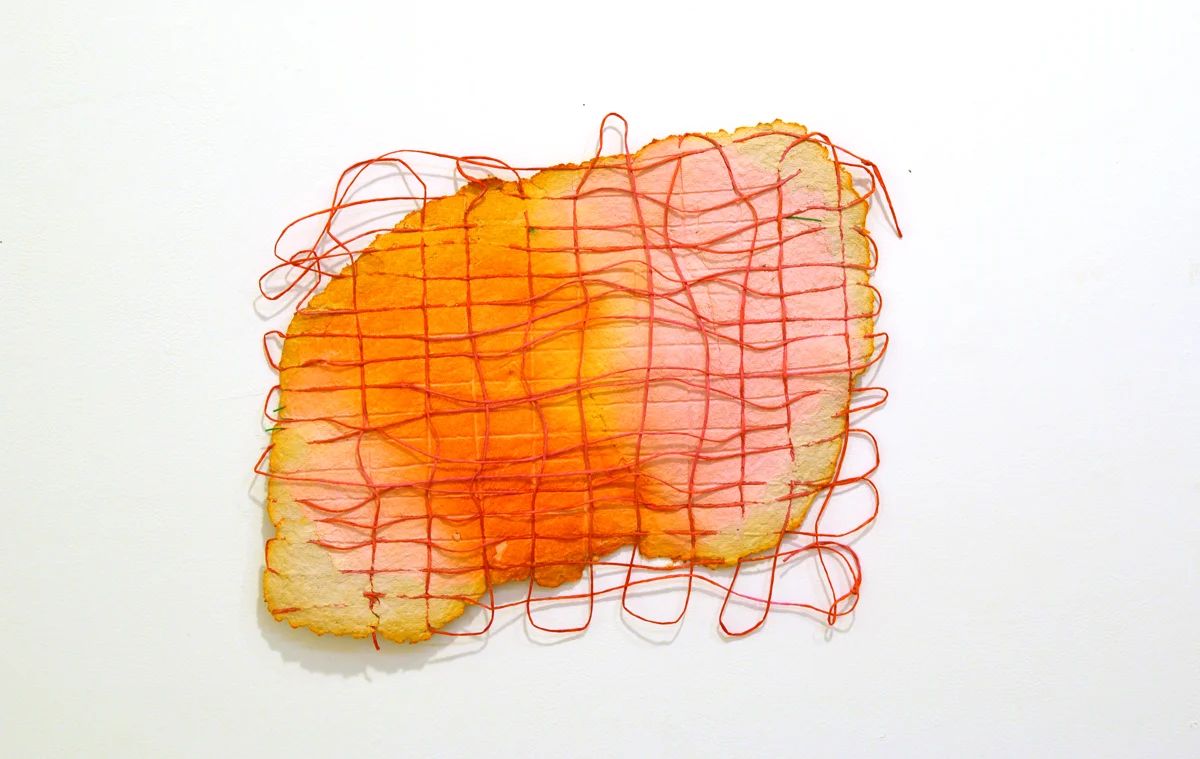 Uncertain Overlay, 2017, Paper Pulp, 19.5 wide x 16 wide high