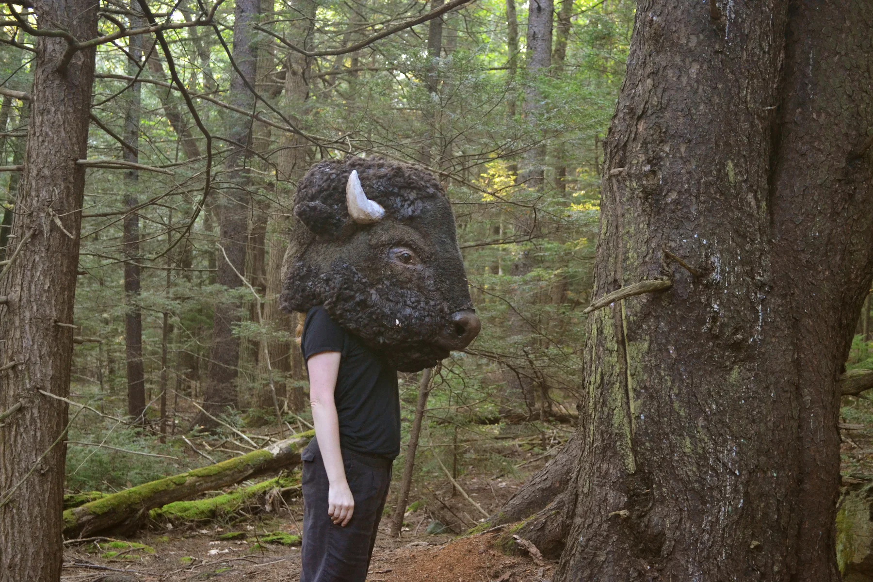 Rewilding Platte Clove, The Catskill Mountains, Ongoing Performance Series, 2014