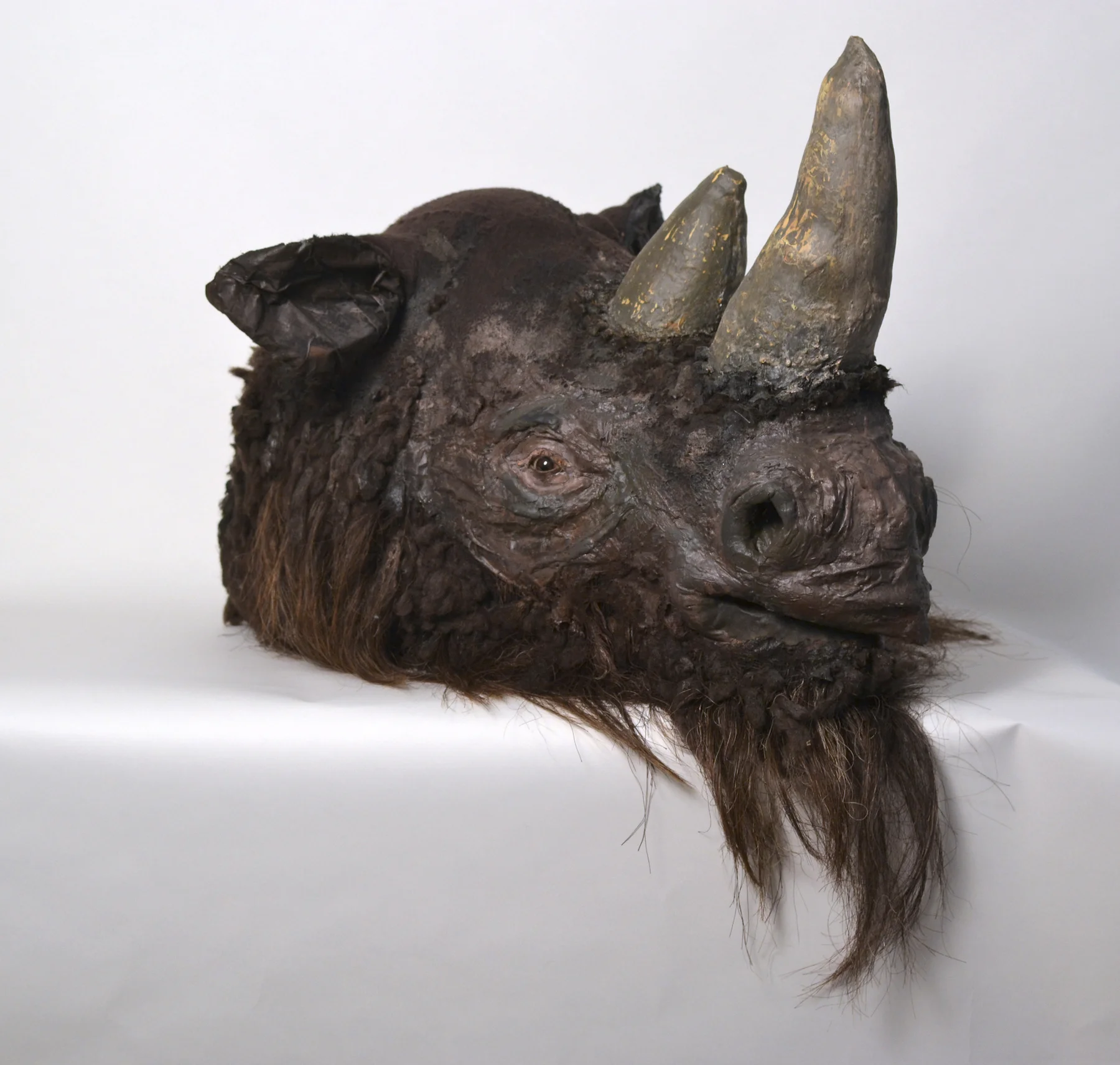Coelodonta antiquitatis Pleistocene Era Woolly Rhinoceros, Fabric, thread, wool, horsehair, and other materials, 25”x33”x28”, 2015