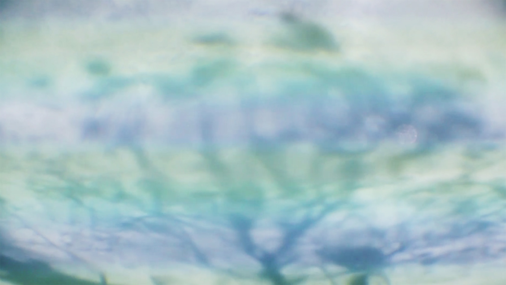 Sofia Bersanelli_sotto il portico,2015.jpg