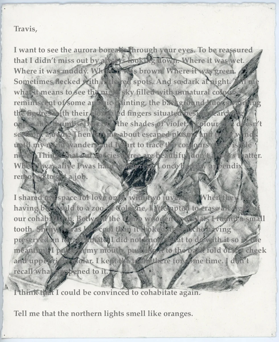 flyloveletterpost.jpg