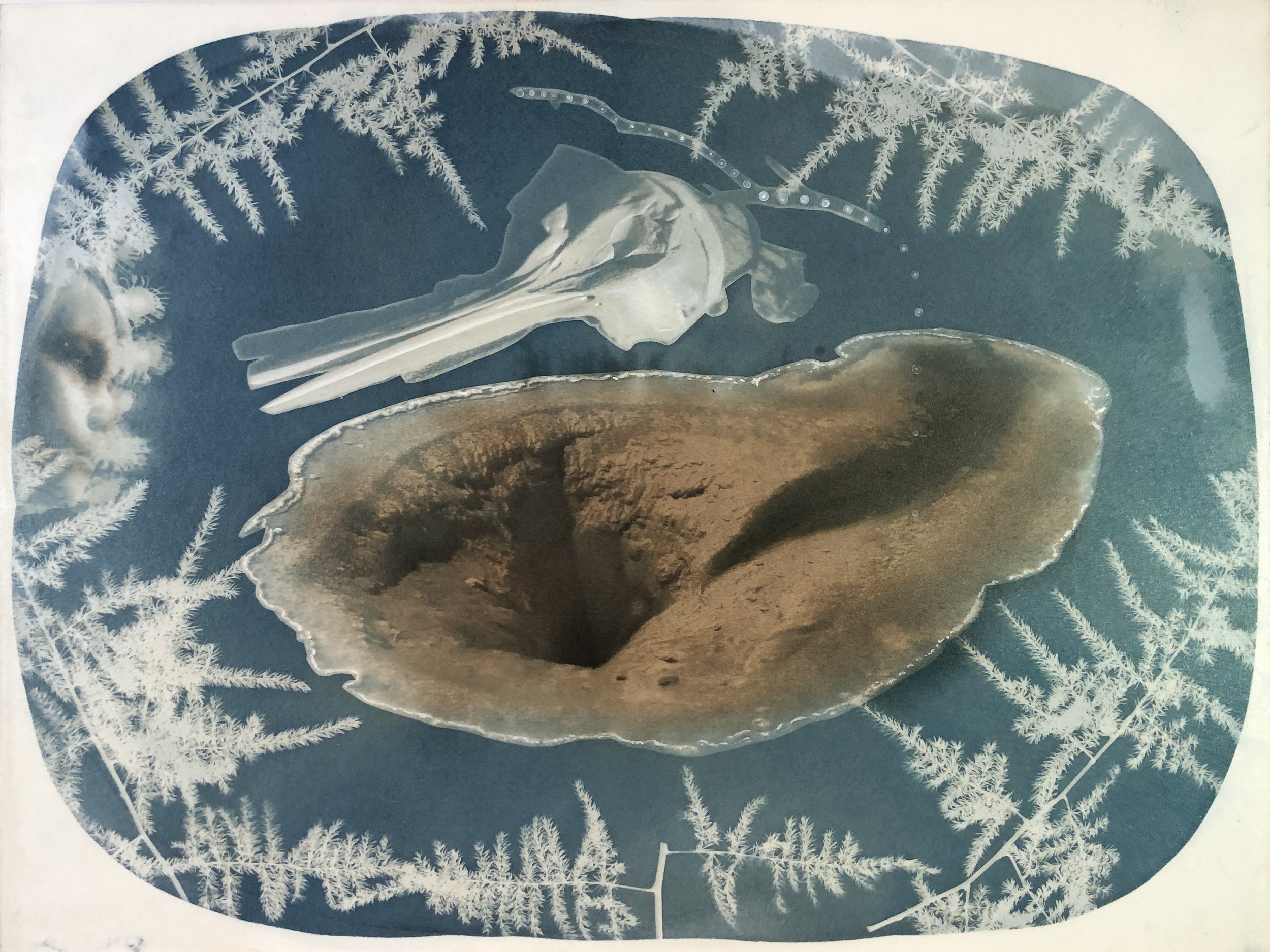  Annalise Neil "Yellowstone National Park/Bahia de los Angeles/Olympic..." / 2020 /Watercolor paint on bleached and wine-tannin toned cyanotype, mounted on wood panel / 9"H x 11"W x 1"D / $350 