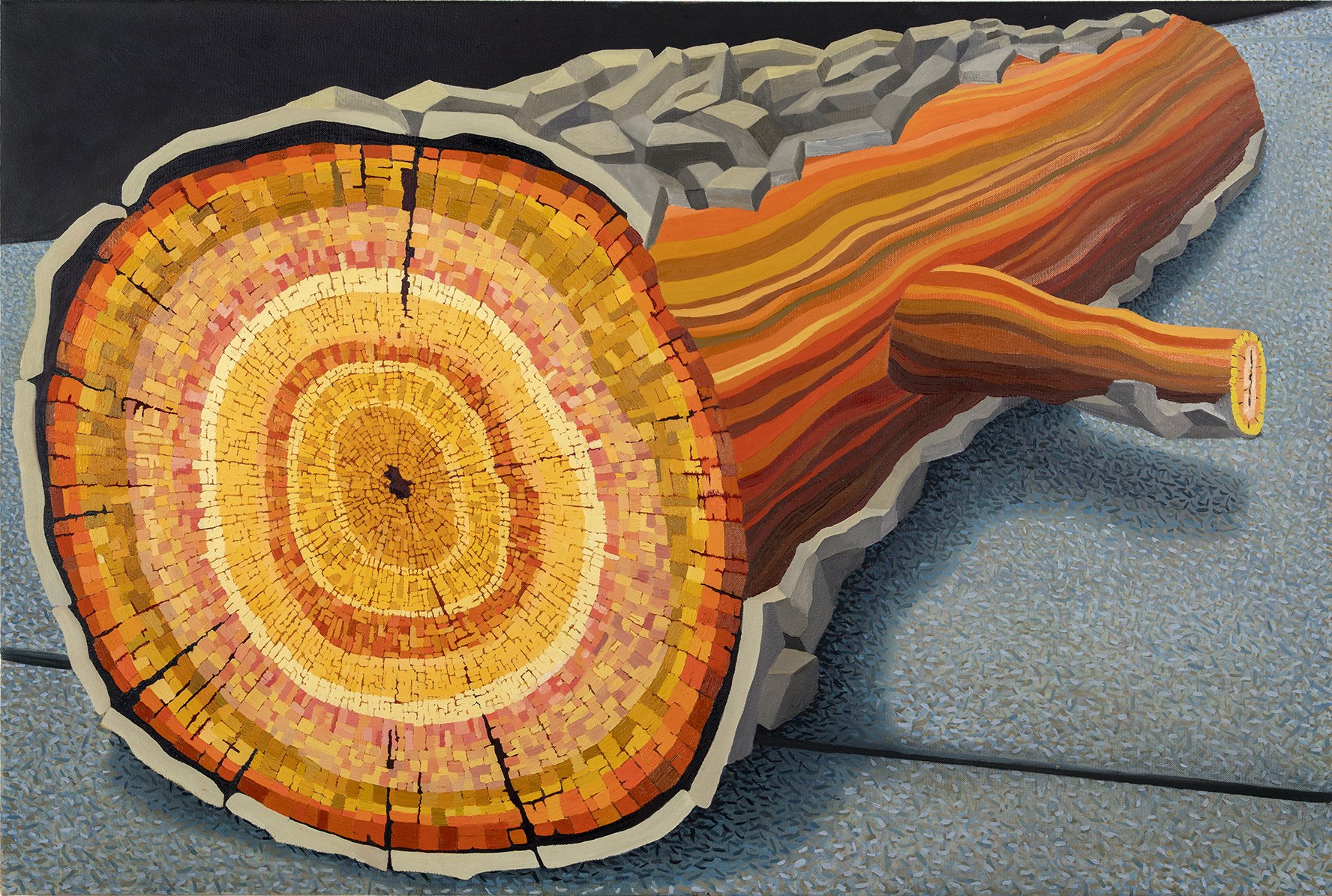  Sally Jerome “Cross Sections” / 2021 / oil on canvas / 27" x 40" / $5000.00 