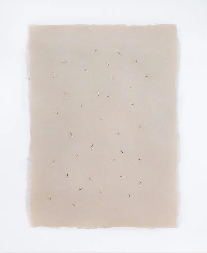 Open today 12-6pm!⁠
⁠
Iy&aacute;pi (2025)⁠
Handmade paper, abaca, cotton, flax, and porcupine quills⁠
22 1/2 in x 30 1/2 ⁠
@mikaylapatton.art⁠
⁠
Mikayla Patton (she/her) is a visual artist whose material based practice works at the intersections of s