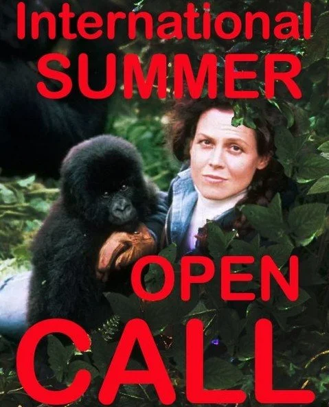 OPEN CALL : SUMMER 2026⁠
⁠
☠️ Deadline: June 28, 11:59pm⁠
⁠
All submissions will be considered for⁠
⁠
🍌The Open Call Exhibition⁠
🍍The Online Exhibition⁠
🍇Future Solo Exhibitions at Field Projects⁠
🍈Future Group Exhibitions at Field Projects⁠
🍎Fu