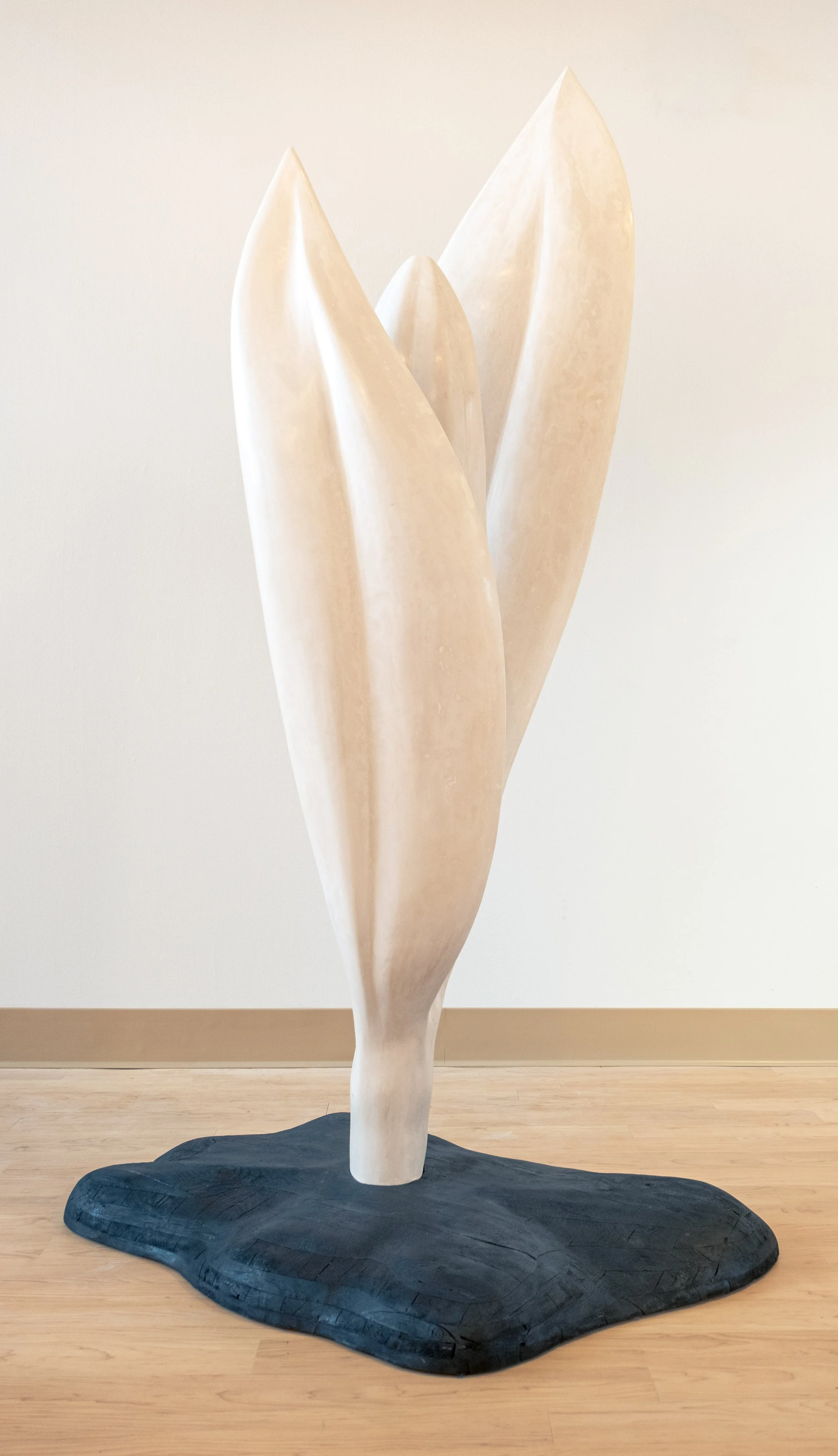 Andrew Bailey Arend