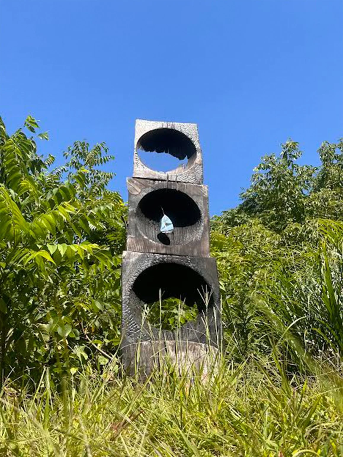 Soli Pierce