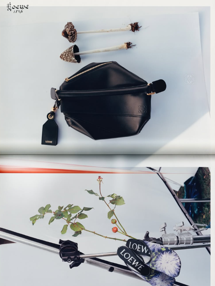 Screenshot 2025-02-24 at 16.46.19.png