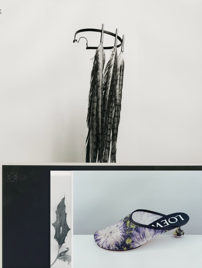 Screenshot 2025-02-24 at 16.46.42.png