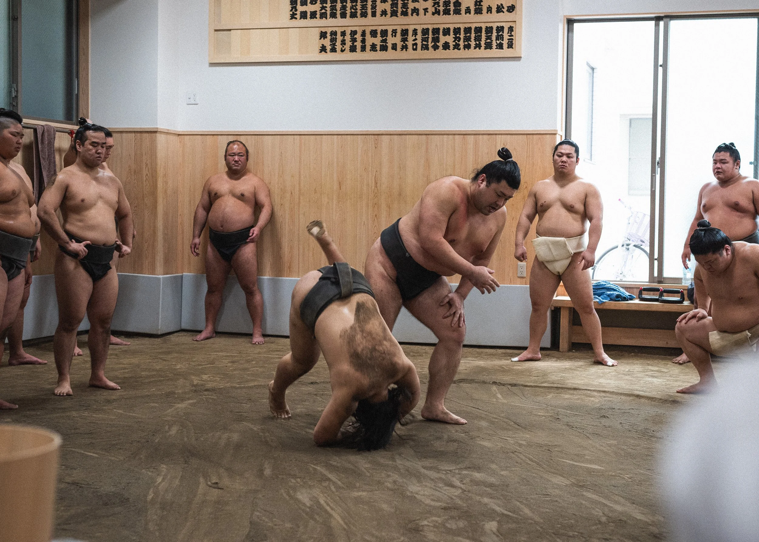 Sumo wrestlers practicing in a dojo, some standing and one in a crouched position, with a wooden panel and window in the background.