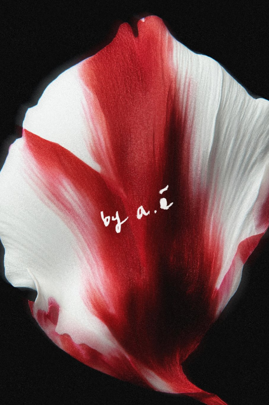 Screenshot 2026-02-25 at 09.38.23.png