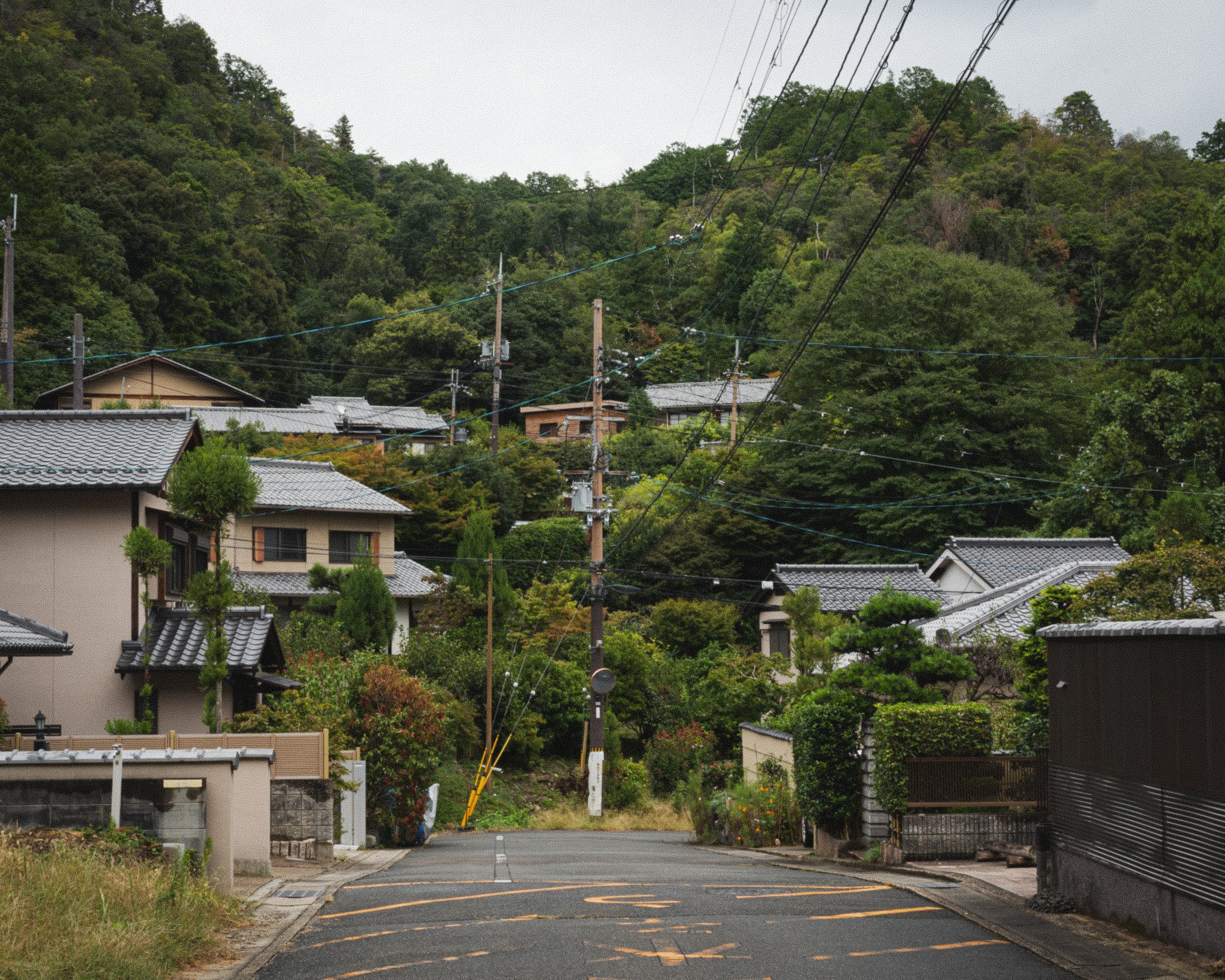 Quiet residential street in a hilly area with traditional Japanese houses, lush green trees, utility poles, and power lines, on an overcast day.