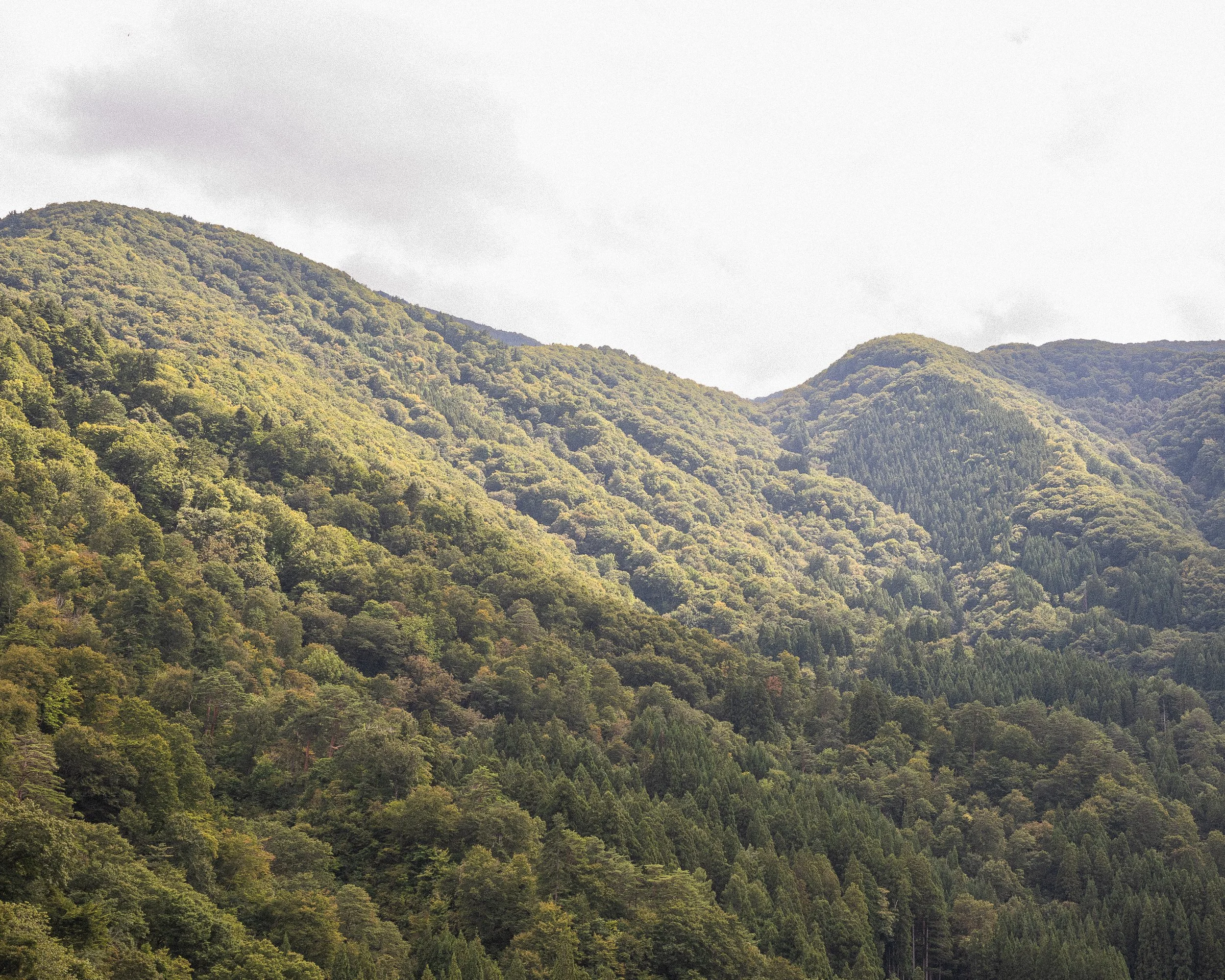 Green forested mountains under a cloudy sky.