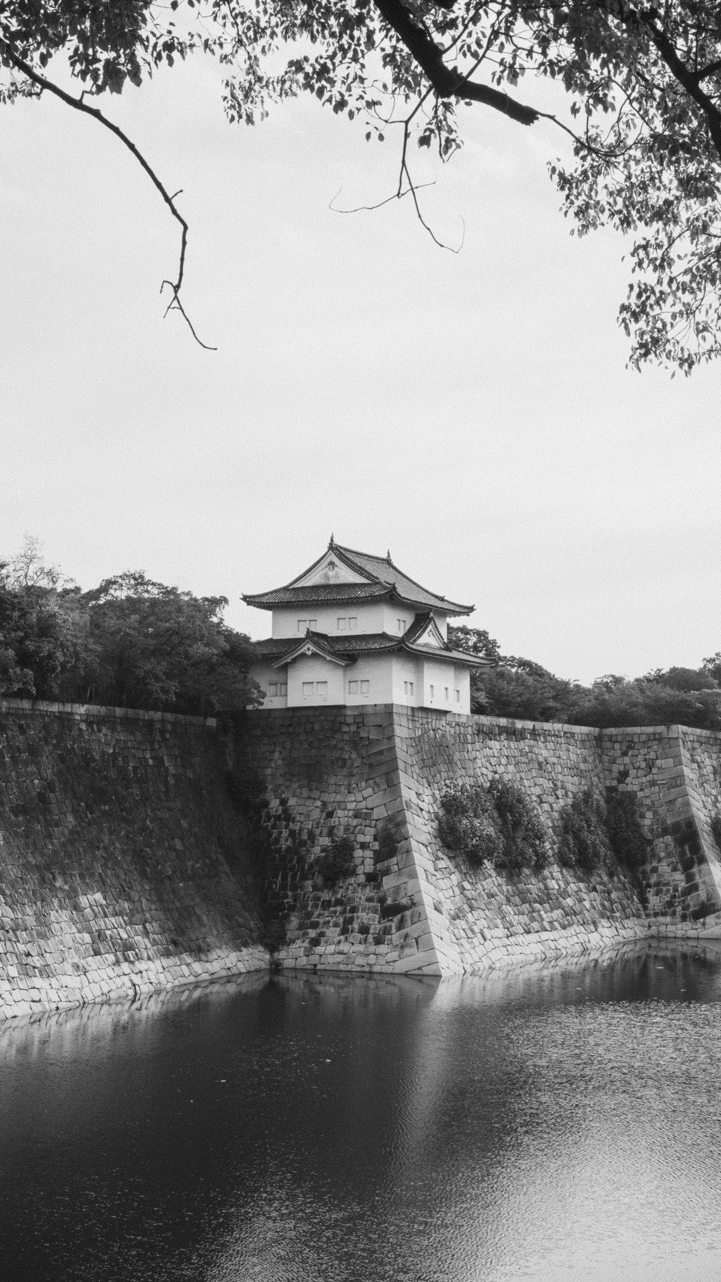 A traditional Japanese castle atop stone walls by a water moat, surrounded by trees, with a clear sky overhead, in black and white.