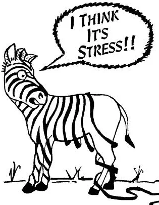 Stress can have major effects on both our mental and physical health.