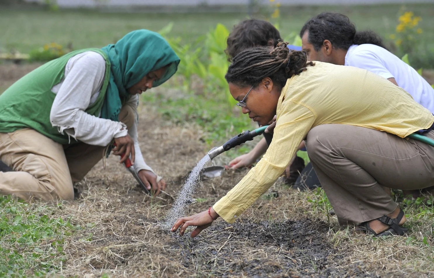 urbanfarm-11410716110.jpg