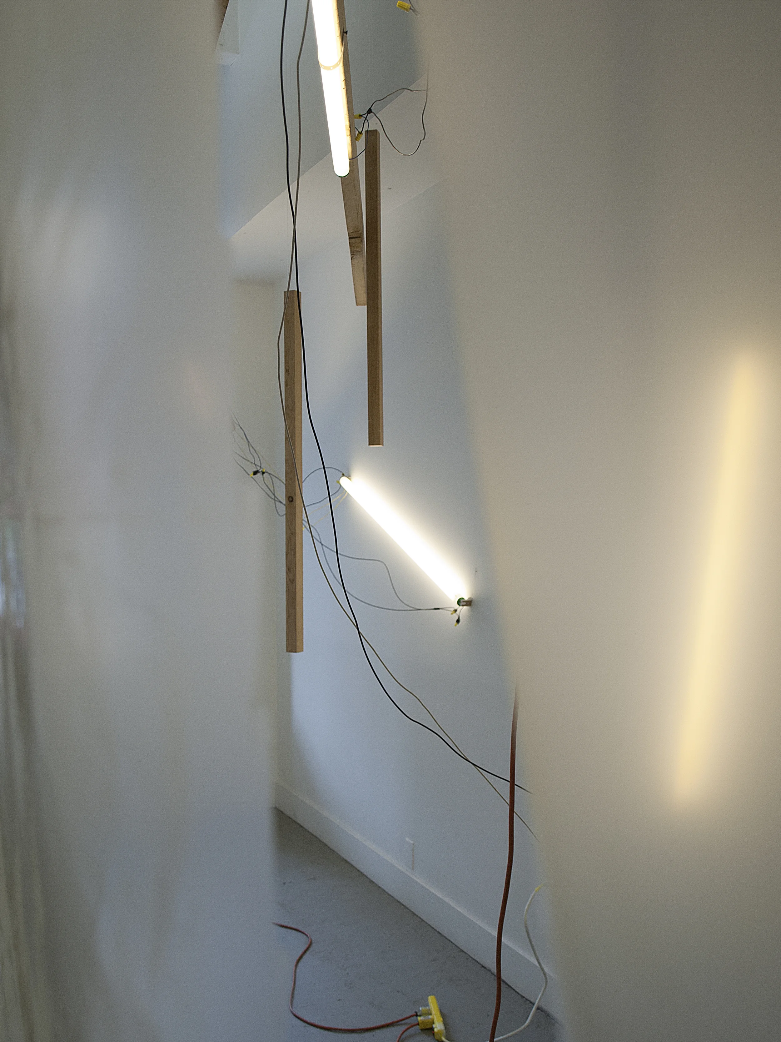 _A110463.jpg