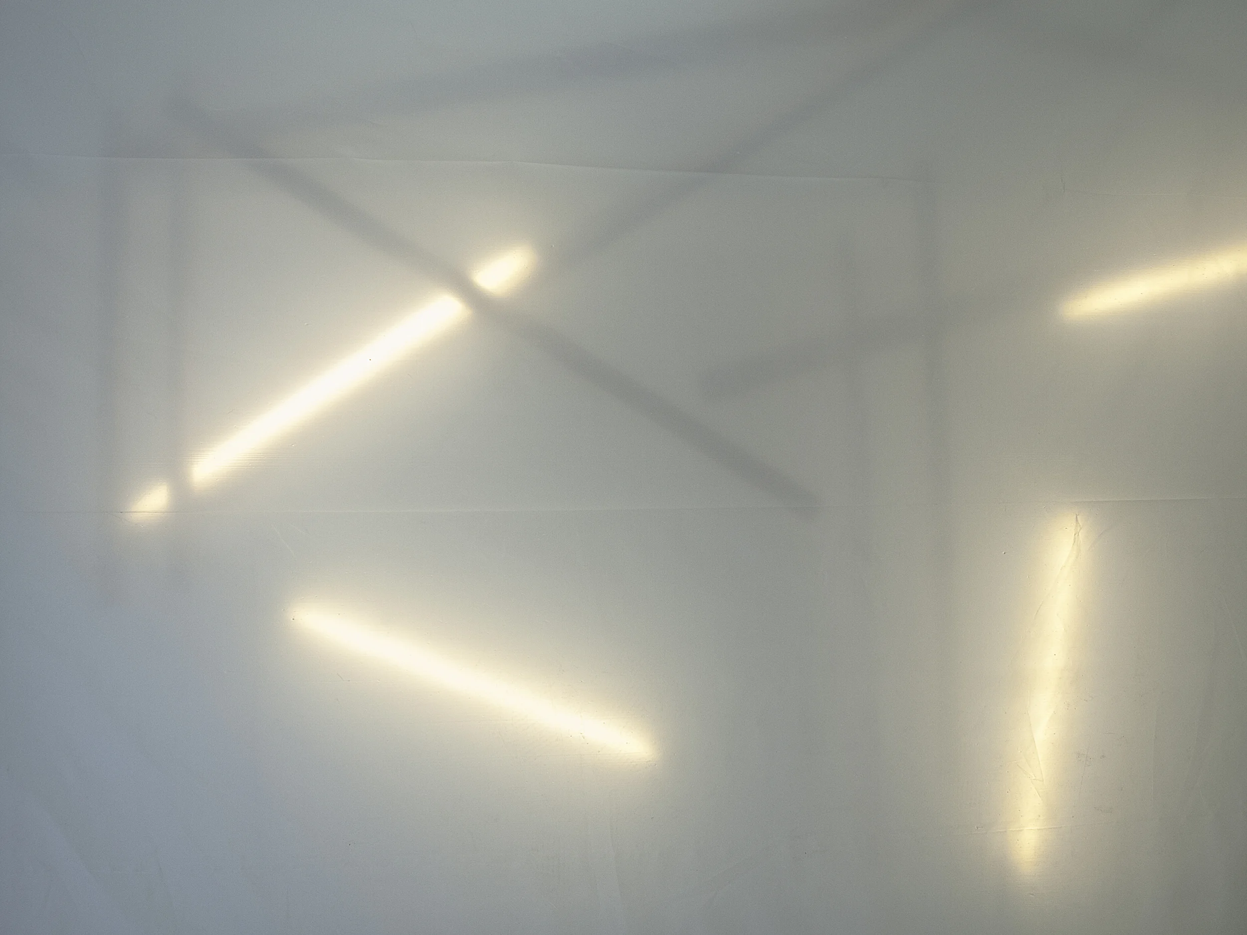 _A110482.jpg