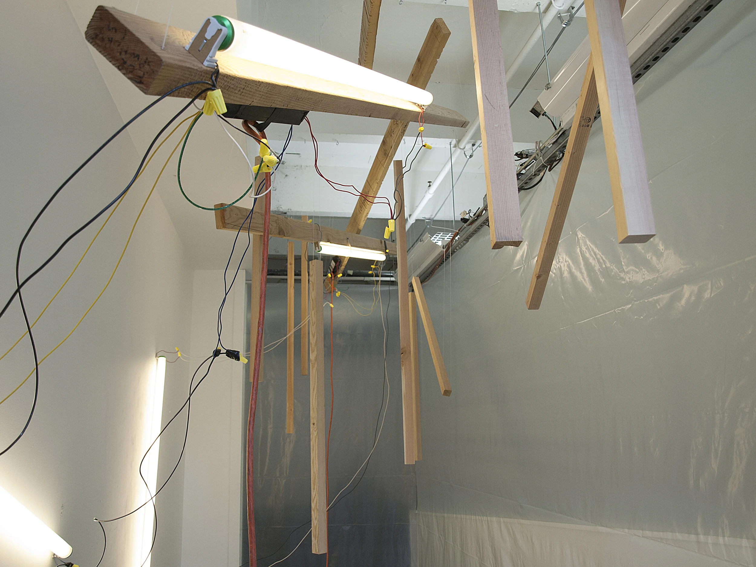 _A110483.jpg
