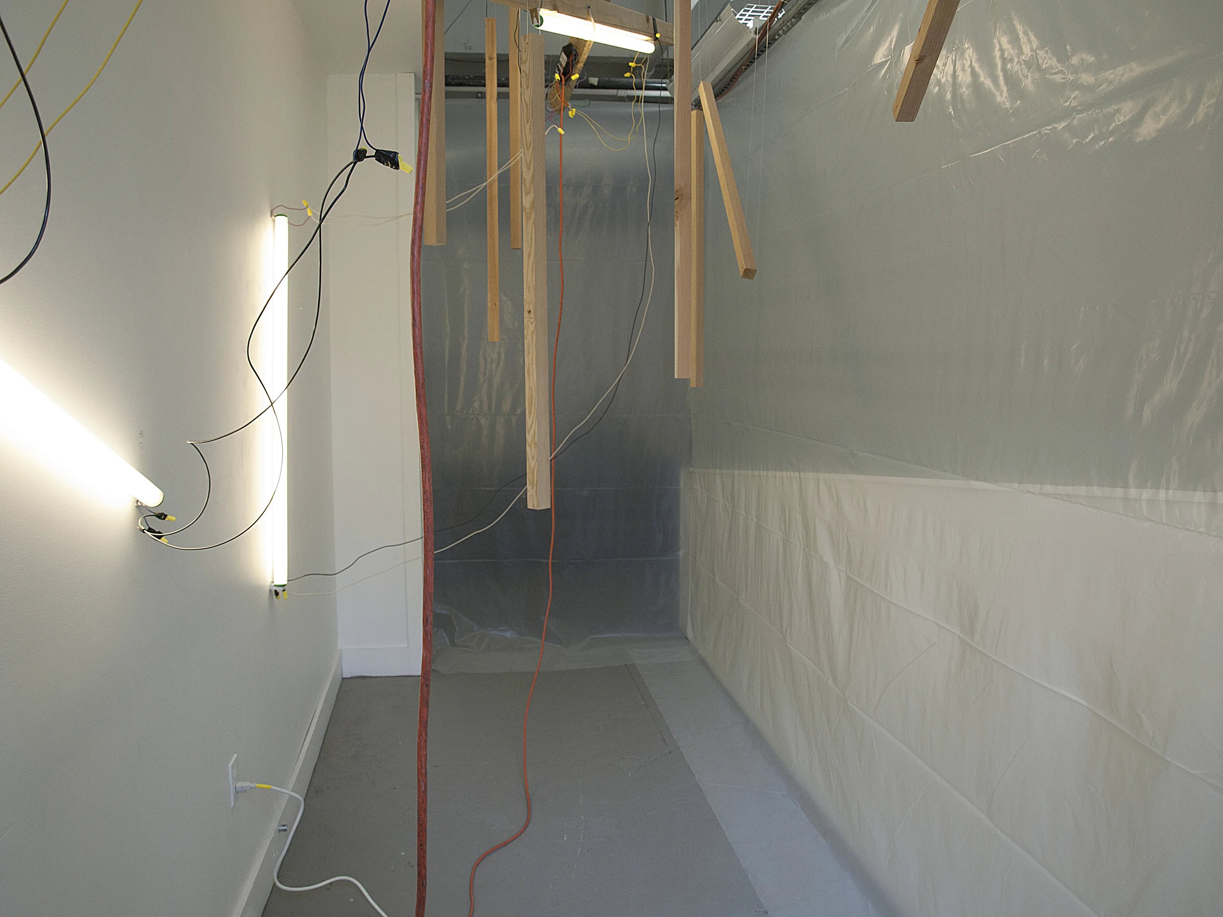 _A110484.jpg