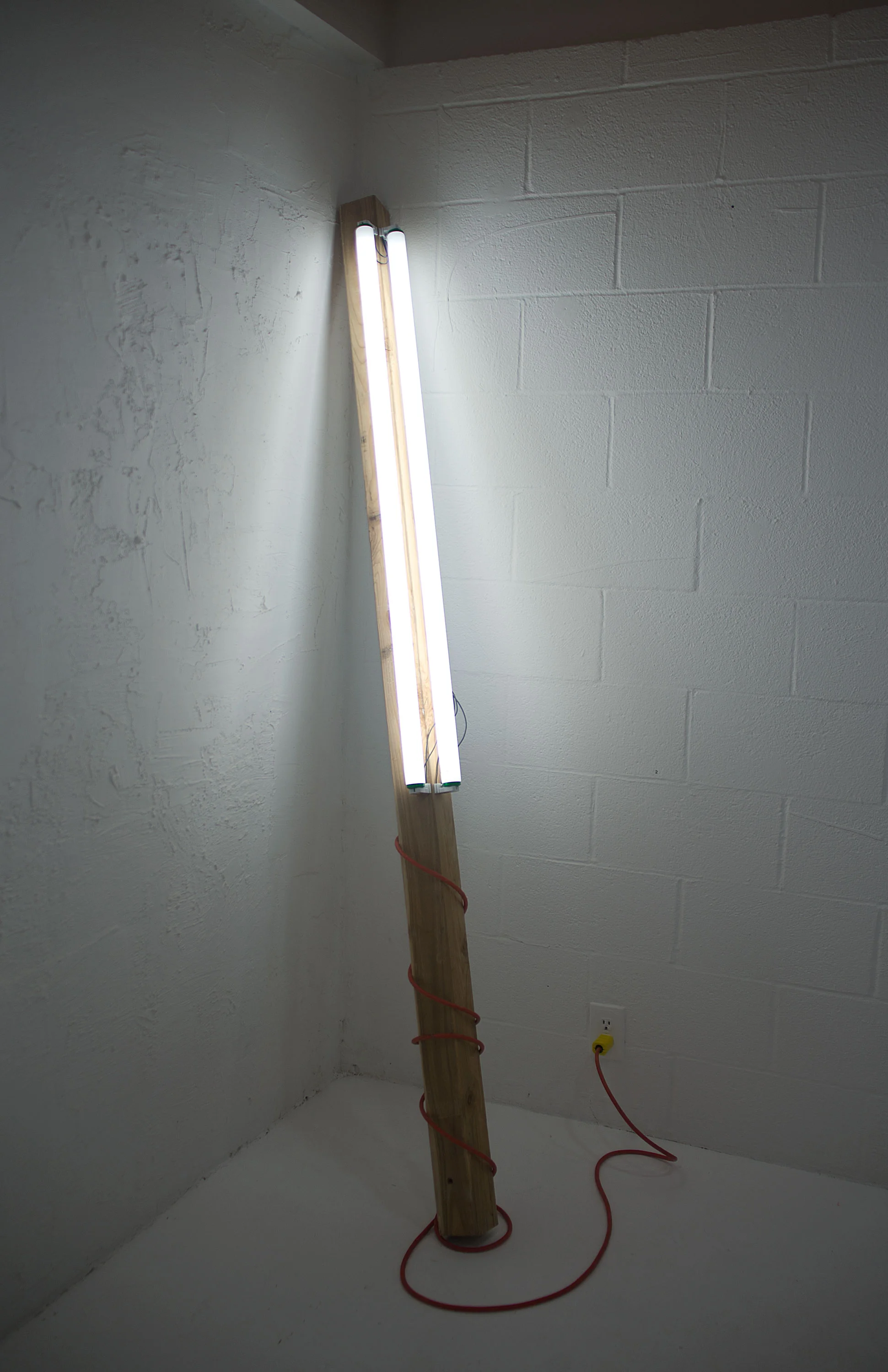  Fluorescent lights and Wood 2015, 7’ x 6”    