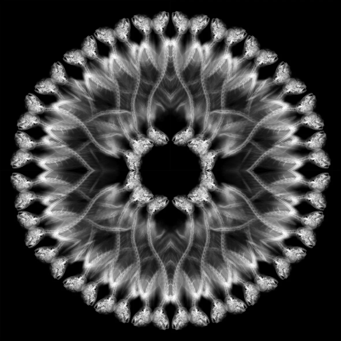 Nimis 20, too much, over much, excessively