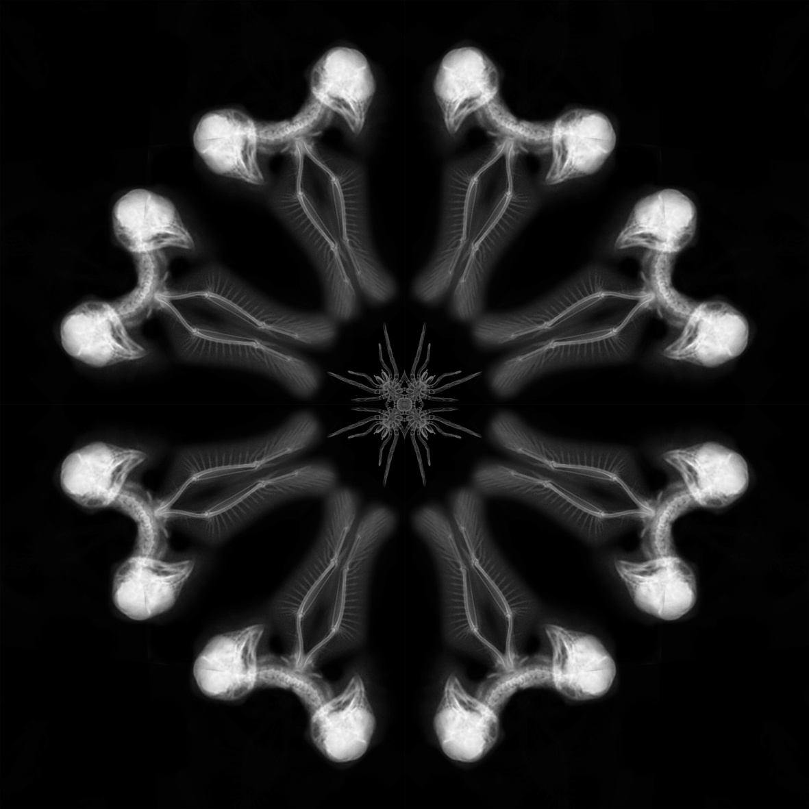 Nimis 18, too much, over much, excessively