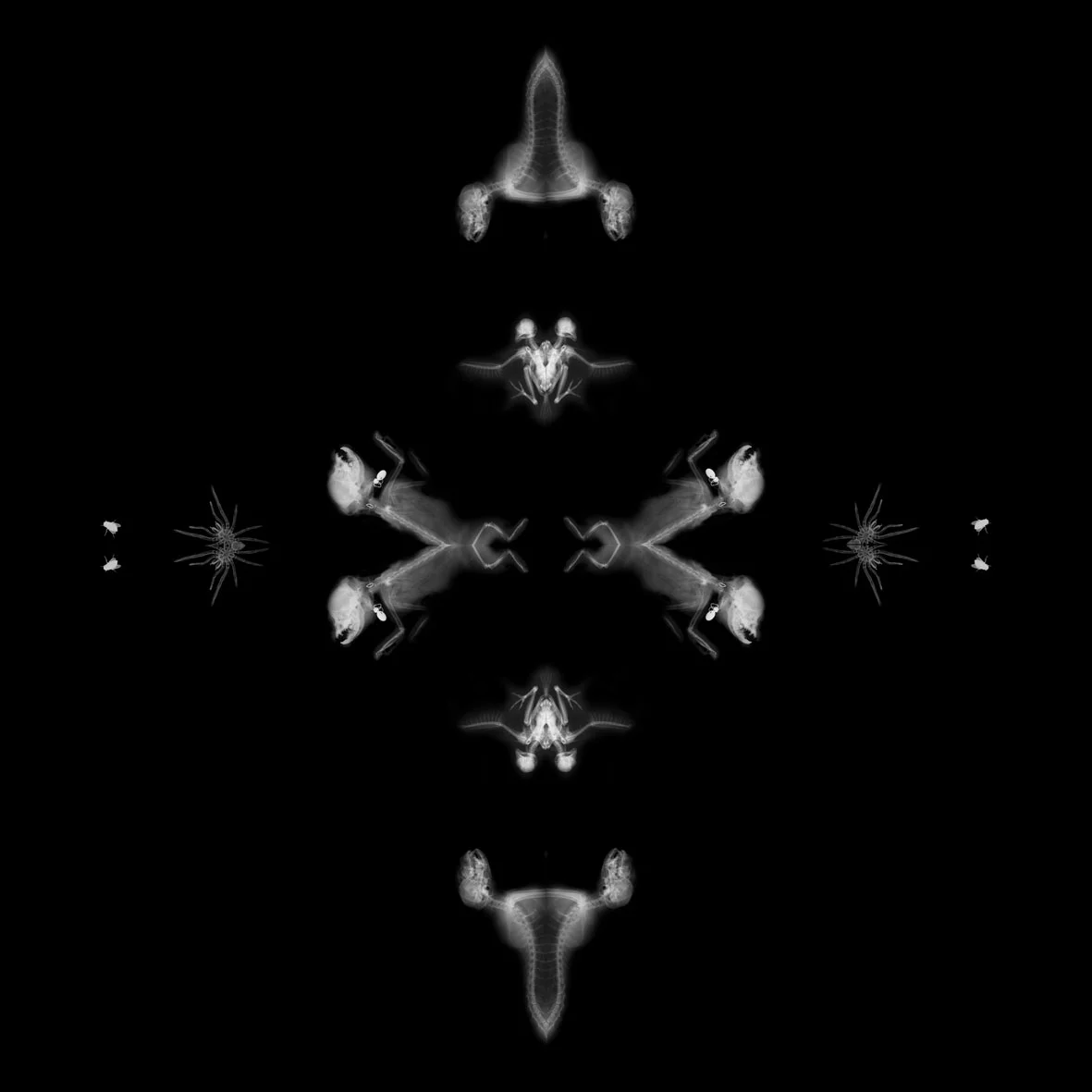 Nimis 8, too much, over much, excessively